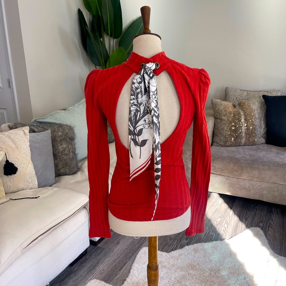 Free people long sleeve open back top